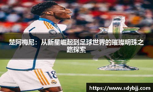 yy易游(中国)体育
